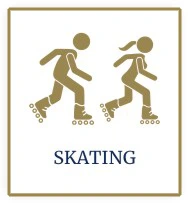 Skating